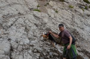 "No cliff climbing Harley!"